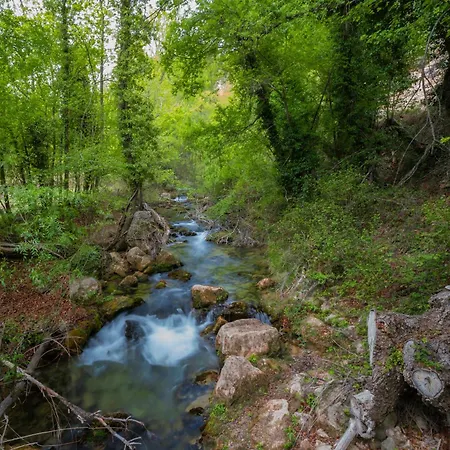 فندق De La Trucha