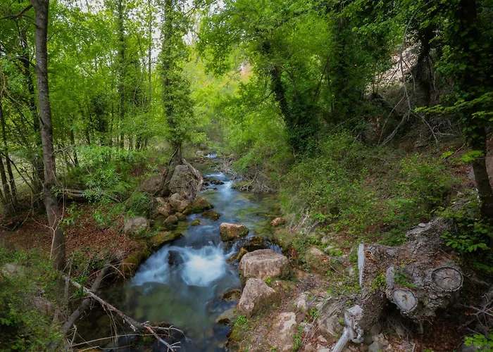 Szálloda De La Trucha